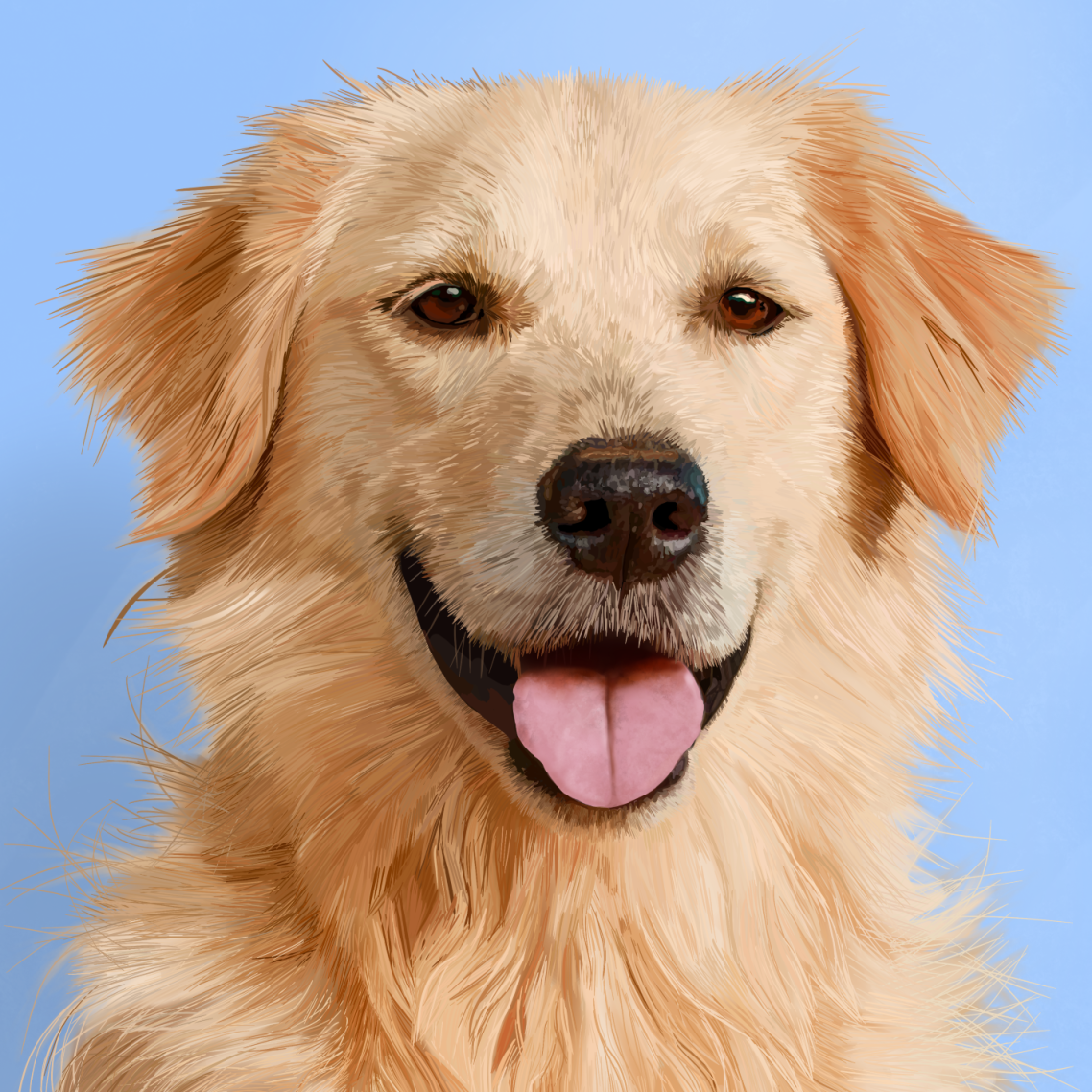 Digitally hand drawn illustration of a happy golden retriever with its tongue out, on a light blue background.