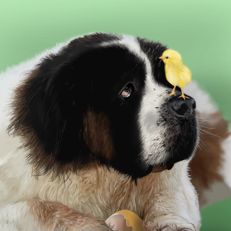 A drawing of a St. Bernard dog with a yellow chick perched on its nose.