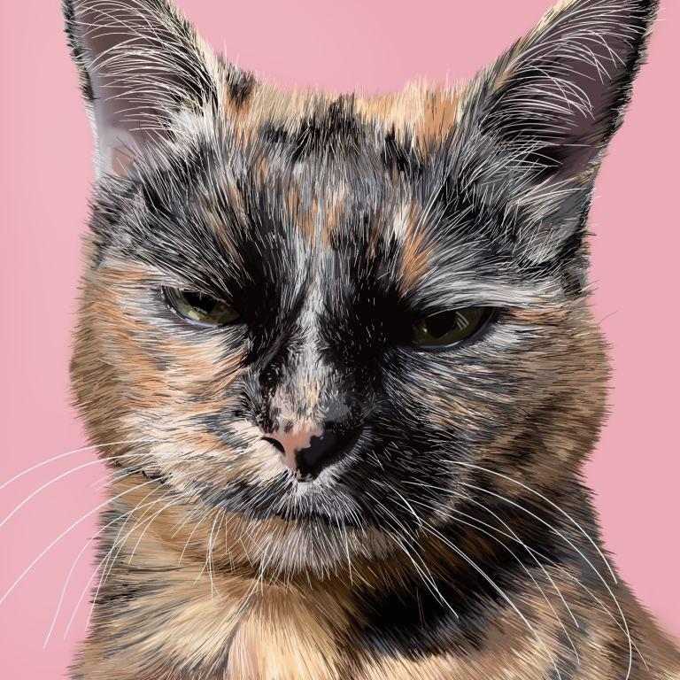 Close-up of a tortoiseshell cat with a neutral expression against a pink background.