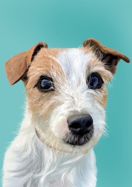 A custom dog drawing of a small cute terrier with white fur and brown patches against a turquoise background.