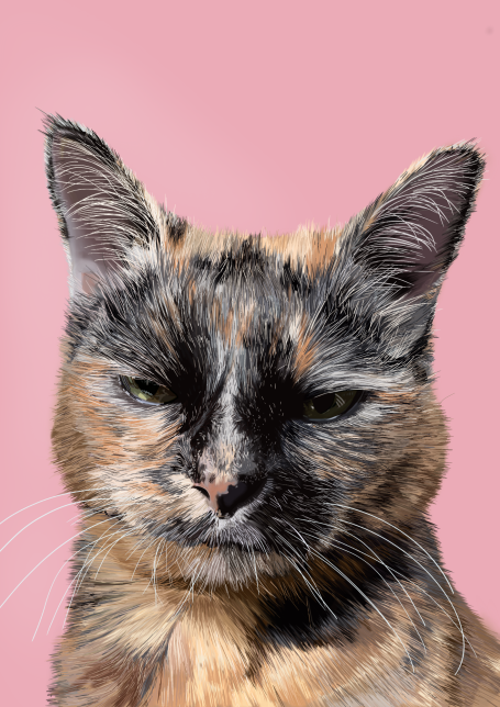 Close-up of a tortoiseshell cat with green eyes against a pink background.