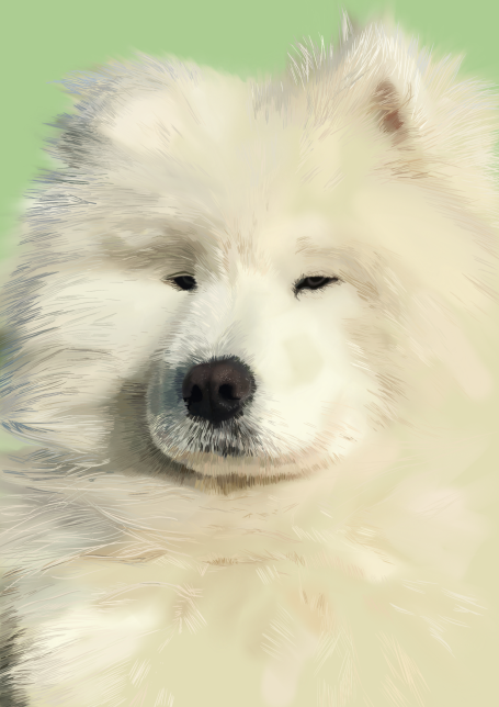 Close-up of a Samoyed dog with a fluffy white coat and a relaxed expression.