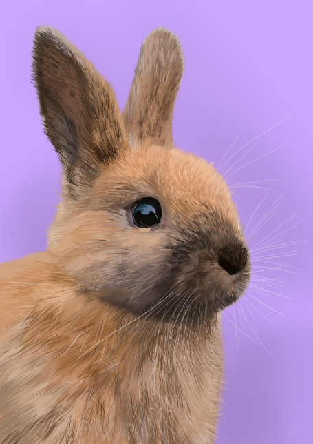 Drawing of a cute rabbit with soft brown fur against a pale purple background.